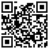 QR Code Handyversion