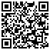 QR Code Handyversion