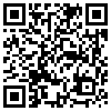 QR Code Handyversion