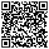 QR Code Handyversion