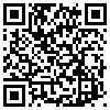 QR Code Handyversion