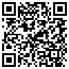 QR Code Handyversion