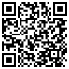 QR Code Handyversion