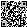 QR Code Handyversion