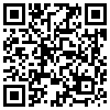 QR Code Handyversion