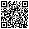 QR Code Handyversion