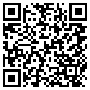 QR Code Handyversion