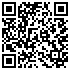 QR Code Handyversion