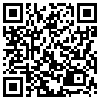 QR Code Handyversion