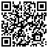 QR Code Handyversion