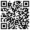 QR Code Handyversion