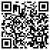 QR Code Handyversion