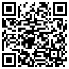 QR Code Handyversion