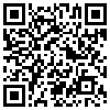 QR Code Handyversion