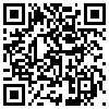 QR Code Handyversion