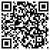 QR Code Handyversion