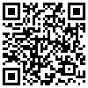 QR Code Handyversion