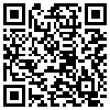 QR Code Handyversion