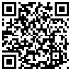 QR Code Handyversion