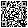 QR Code Handyversion