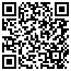 QR Code Handyversion