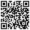 QR Code Handyversion