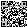 QR Code Handyversion