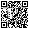 QR Code Handyversion