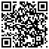 QR Code Handyversion