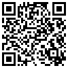 QR Code Handyversion