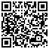 QR Code Handyversion