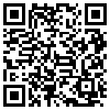 QR Code Handyversion