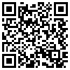 QR Code Handyversion