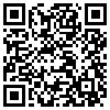 QR Code Handyversion