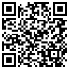 QR Code Handyversion