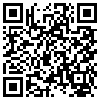 QR Code Handyversion