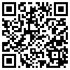 QR Code Handyversion