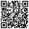 QR Code Handyversion