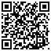 QR Code Handyversion