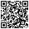 QR Code Handyversion