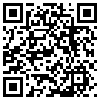 QR Code Handyversion