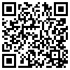 QR Code Handyversion