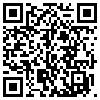 QR Code Handyversion