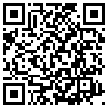 QR Code Handyversion