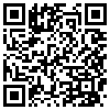 QR Code Handyversion