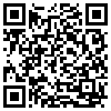 QR Code Handyversion