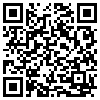 QR Code Handyversion