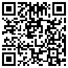 QR Code Handyversion