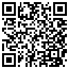 QR Code Handyversion