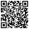 QR Code Handyversion